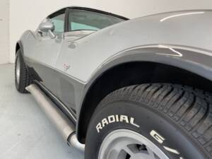 Bild 32/40 von Chevrolet Corvette 25th Anniversary (1978)