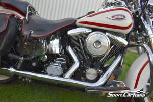 Immagine 25/50 di Harley-Davidson FLSTS 1340 Heritage Springer (1998)