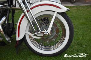 Immagine 26/50 di Harley-Davidson FLSTS 1340 Heritage Springer (1998)