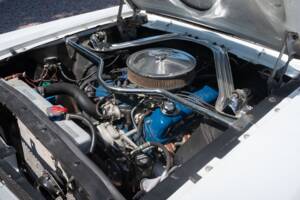 Image 31/54 of Ford Shelby GT 350 (1965)