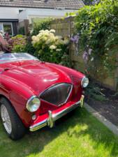 Bild 4/150 von Austin-Healey 100/4 (BN1) (1955)