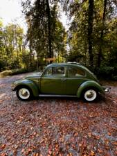 Bild 13/23 von Volkswagen Escarabajo 1200 (1960)