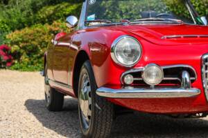 Bild 39/50 von Alfa Romeo Giulia 1600 Spider Veloce (1965)