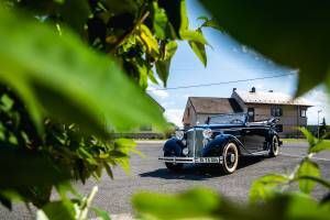 Bild 7/31 von Audi Front U Gläser concept car (1933)