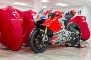 Image 2/21 de Ducati DUMMY (2018)