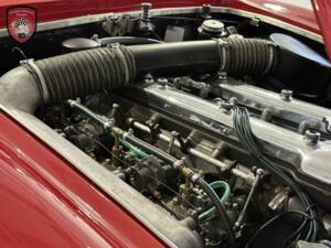 Bild 25/76 von Alfa Romeo 2600 Spider (1964)