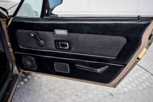 Immagine 44/50 di Triumph TR 8 (1980)