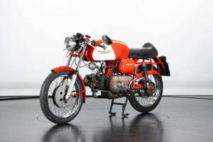 Immagine 8/50 di Aermacchi Ala Verde (1964)