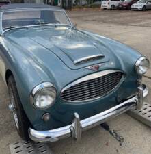 Bild 4/12 von Austin-Healey 3000 Mk I (BN7) (1961)