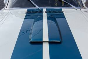 Afbeelding 14/48 van Ford Shelby GT 350 (1965)