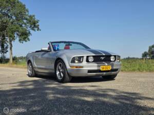 Bild 9/38 von Ford Mustang V6 (2006)