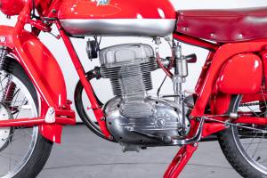 Image 10/42 de MV Agusta DUMMY (1955)