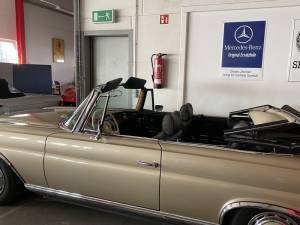 Image 29/30 de Mercedes-Benz 280 SE 3,5 (1970)