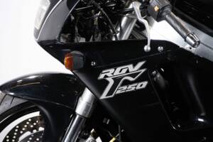 Immagine 15/48 di Suzuki RGV 250 Gamma (1990)