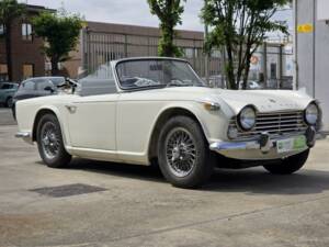 Imagen 38/46 de Triumph TR 4A (1965)
