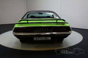 Bild 16/19 von Dodge Challenger 340 (1973)