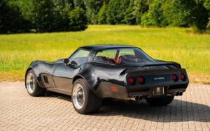 Immagine 4/42 di Chevrolet Corvette Sting Ray (1980)