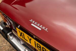 Image 42/45 of Peugeot 504 Convertible (1974)