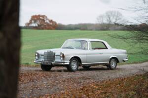 Bild 12/40 von Mercedes-Benz 300 SE (1965)
