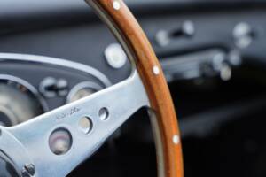 Bild 33/50 von Austin-Healey 3000 Mk I (BN7) (1960)