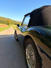 Afbeelding 5/22 van Austin-Healey 3000 Mk III (BJ8) (1967)