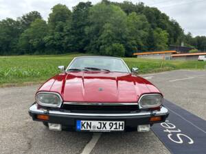 Image 20/40 of Jaguar XJS 5.3 V12 (1991)