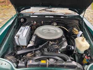 Imagen 13/20 de Mercedes-Benz 280 SE 3,5 (1970)