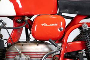 Immagine 41/50 di Aermacchi Ala Verde (1964)