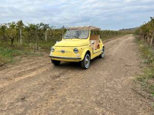 Bild 50/80 von FIAT Ghia 500 Jolly (1972)