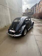 Image 6/8 of Volkswagen Beetle 1200 Standard "Oval" (1956)