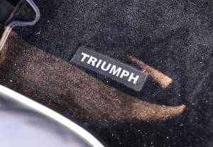 Image 30/50 of Triumph TR 4 (1965)