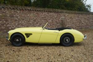 Bild 17/50 von Austin-Healey 3000 Mk I (BN7) (1960)