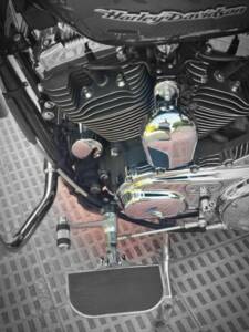 Afbeelding 6/6 van Harley-Davidson XL 1200 C Sportster Custom (2005)