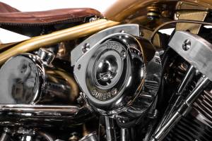Bild 11/38 von Harley-Davidson DUMMY (2009)