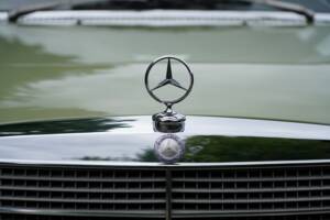 Bild 13/13 von Mercedes-Benz 230/4 (1976)