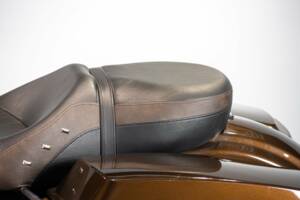 Bild 34/50 von Harley-Davidson DUMMY (2013)