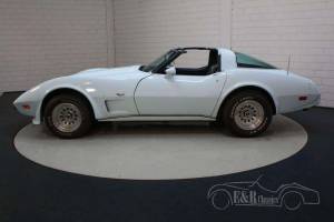 Bild 5/19 von Chevrolet Corvette Sting Ray (1978)