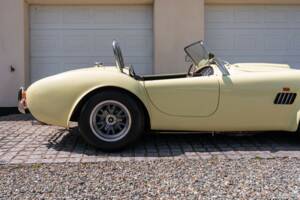 Bild 9/51 von AC Cobra 289 (1999)
