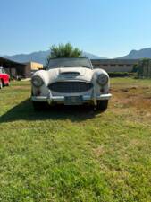 Bild 10/22 von Austin-Healey 3000 Mk II (BN7) (1960)