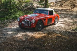 Imagen 6/28 de Austin-Healey 3000 Mk I (BT7) (1960)