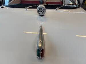 Image 20/24 of Amphicar 770 (1967)