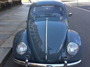 Bild 4/14 von Volkswagen Käfer 1200 Standard &quot;Ovali&quot; (1954)