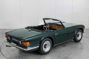 Immagine 13/50 di Triumph TR 6 PI (1972)