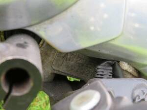 Immagine 35/36 di Honda Z 50 Monkey (2000)