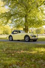 Bild 21/50 von Austin-Healey 3000 Mk I (BT7) (1960)