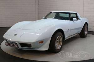 Bild 11/19 von Chevrolet Corvette Sting Ray (1978)