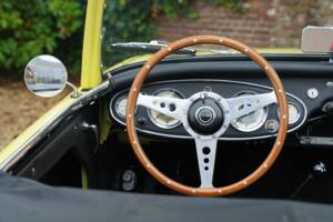 Bild 31/50 von Austin-Healey 3000 Mk I (BN7) (1960)