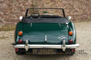 Afbeelding 6/50 van Austin-Healey 3000 Mk III (BJ8) (1966)