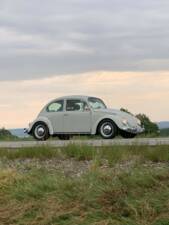 Bild 48/56 von Volkswagen Käfer 1300 (1968)