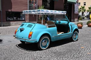 Image 9/90 of FIAT Ghia 500 Jolly (1970)